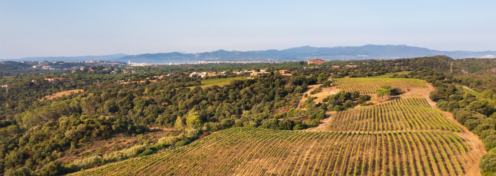 Le domaine